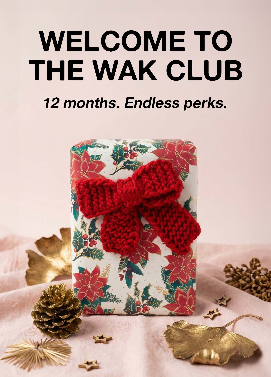 We Are Knitters Club - Membership Program