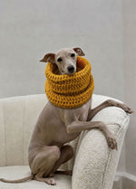 Rex Snood Kit für Haustiere – Yummy Version