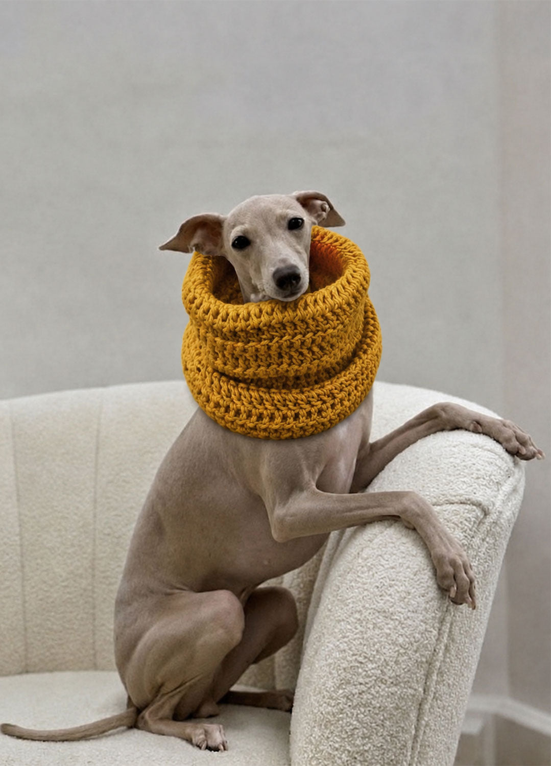Rex Snood Kit für Haustiere – Yummy Version